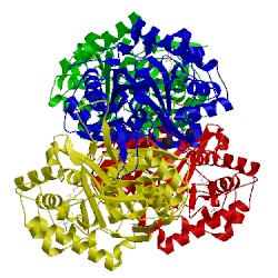 Image of CATH 2f2s