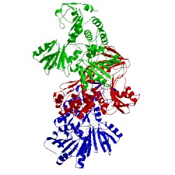 Image of CATH 2f55