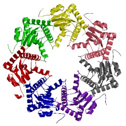 Image of CATH 2f6i