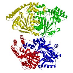 Image of CATH 2f8j