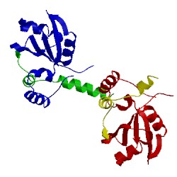 Image of CATH 2f9j