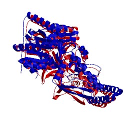 Image of CATH 2fdc