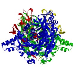 Image of CATH 2fja