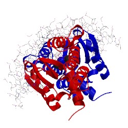 Image of CATH 2fld