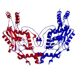 Image of CATH 2flq