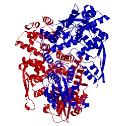 Image of CATH 2fok