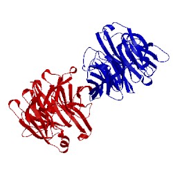 Image of CATH 2fp9