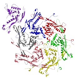 Image of CATH 2fte