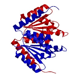 Image of CATH 2fw8