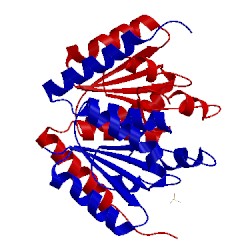 Image of CATH 2fw9