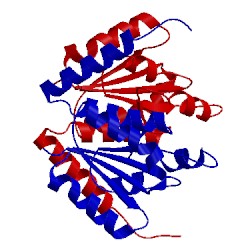 Image of CATH 2fwa