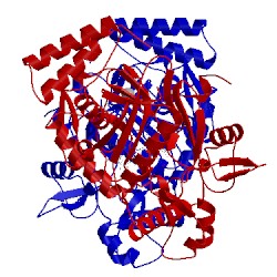 Image of CATH 2g6l