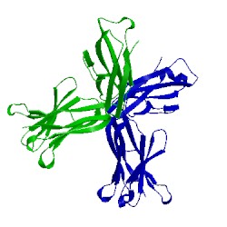 Image of CATH 2g75