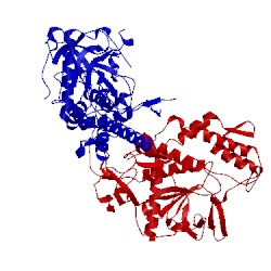 Image of CATH 2g7k