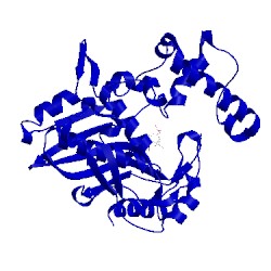 Image of CATH 2g8a