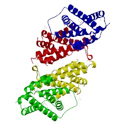 Image of CATH 2gbb