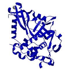 Image of CATH 2gfo