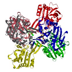 Image of CATH 2gk3