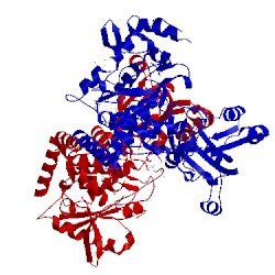 Image of CATH 2gp4