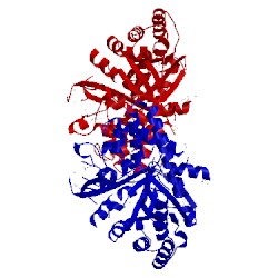 Image of CATH 2ha9