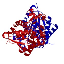 Image of CATH 2hhj