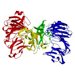 Image of CATH 2hkm