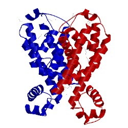 Image of CATH 2hku