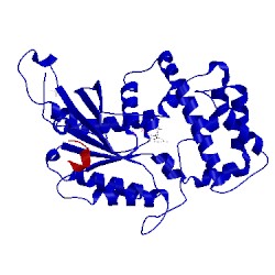 Image of CATH 2hlb