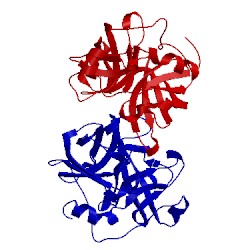 Image of CATH 2hlc