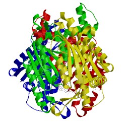 Image of CATH 2hpv