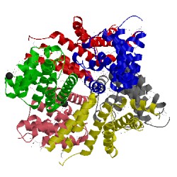 Image of CATH 2hr2