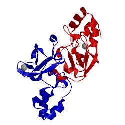 Image of CATH 2hu9