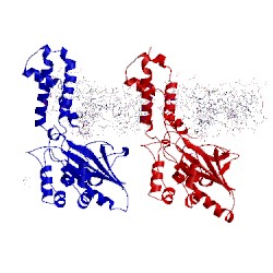 Image of CATH 2hvs