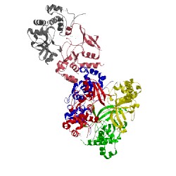 Image of CATH 2hwj