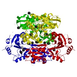 Image of CATH 2hx1