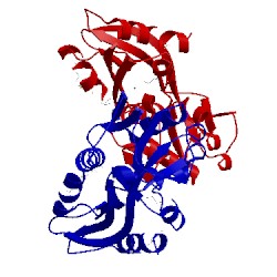 Image of CATH 2hxr