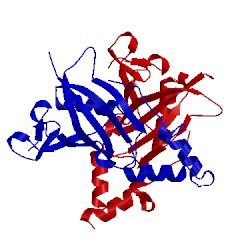 Image of CATH 2i1s