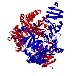 Image of CATH 2icx