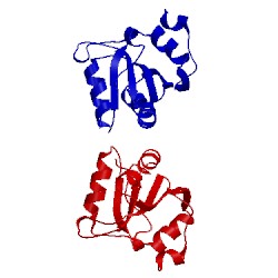 Image of CATH 2if9