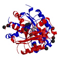 Image of CATH 2igi