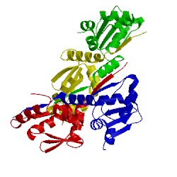 Image of CATH 2ihc