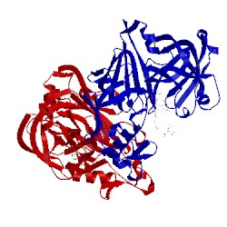 Image of CATH 2il2