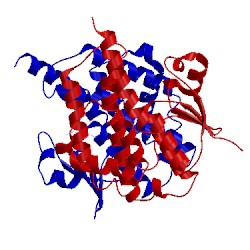 Image of CATH 2imi