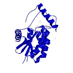 Image of CATH 2in3