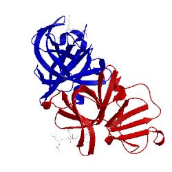 Image of CATH 2iph