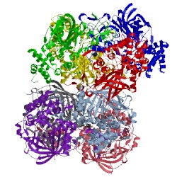 Image of CATH 2isa