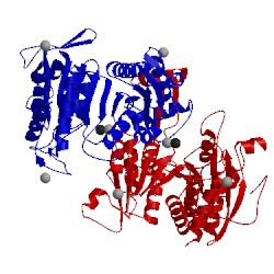 Image of CATH 2iv0