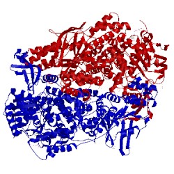 Image of CATH 2iwh