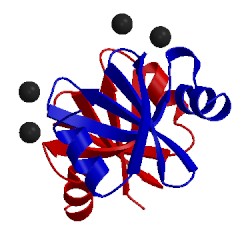 Image of CATH 2iy2