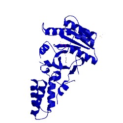 Image of CATH 2iyl